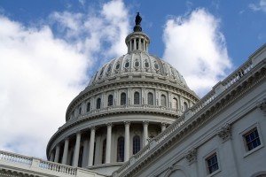 Capital Photo by Anna Hunter.