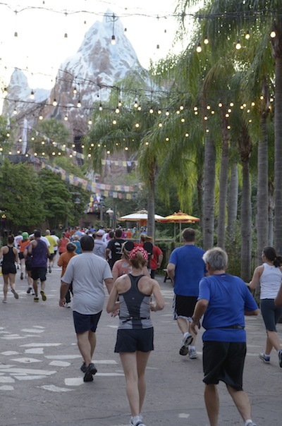 Animal Kingdom Run-Karla-Run Disney races, Wine & Dine Half Marathon, run Disney