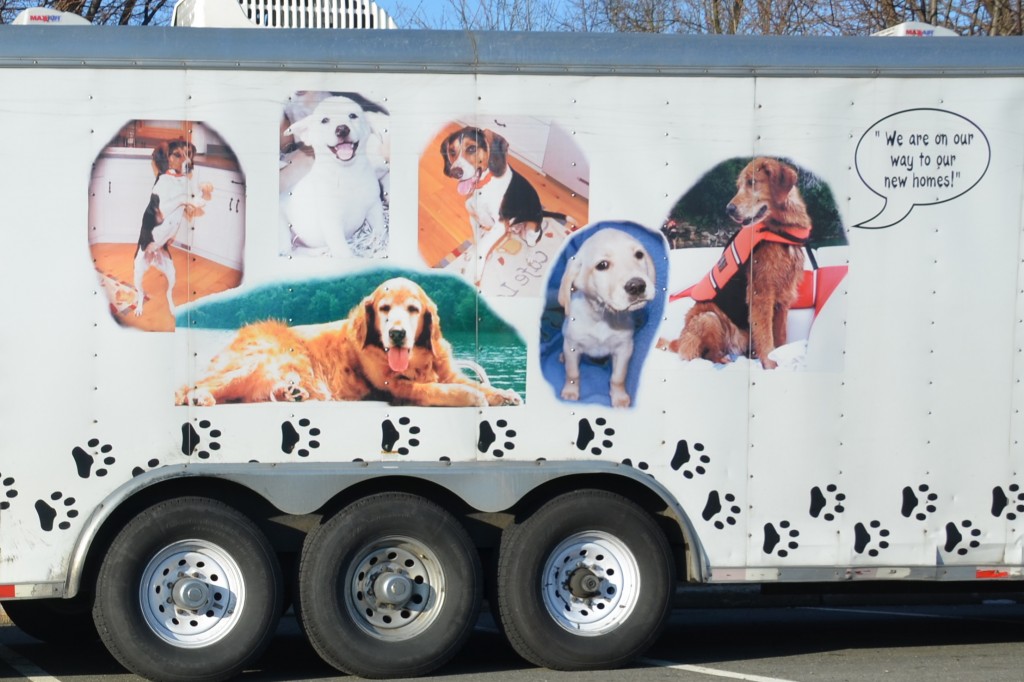 PETS LLC, dog transport truck
