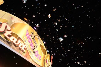 2013 Disney Wine and Dine Half Marathon