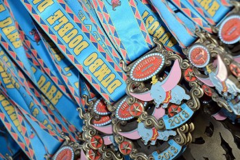Disneyland Half Marathon 2014