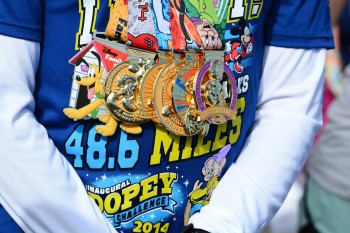 Walt Disney World Marathon 2015 By The Numbers
