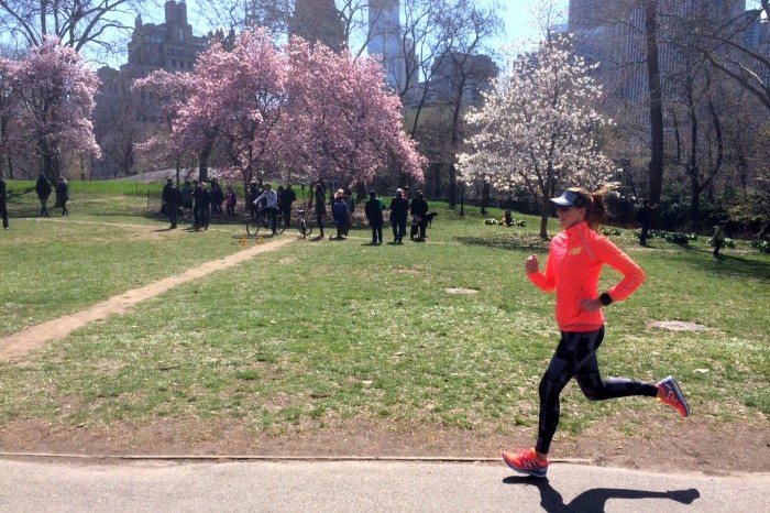 Ready For Cherry Blossom Run in Washington, D.C.